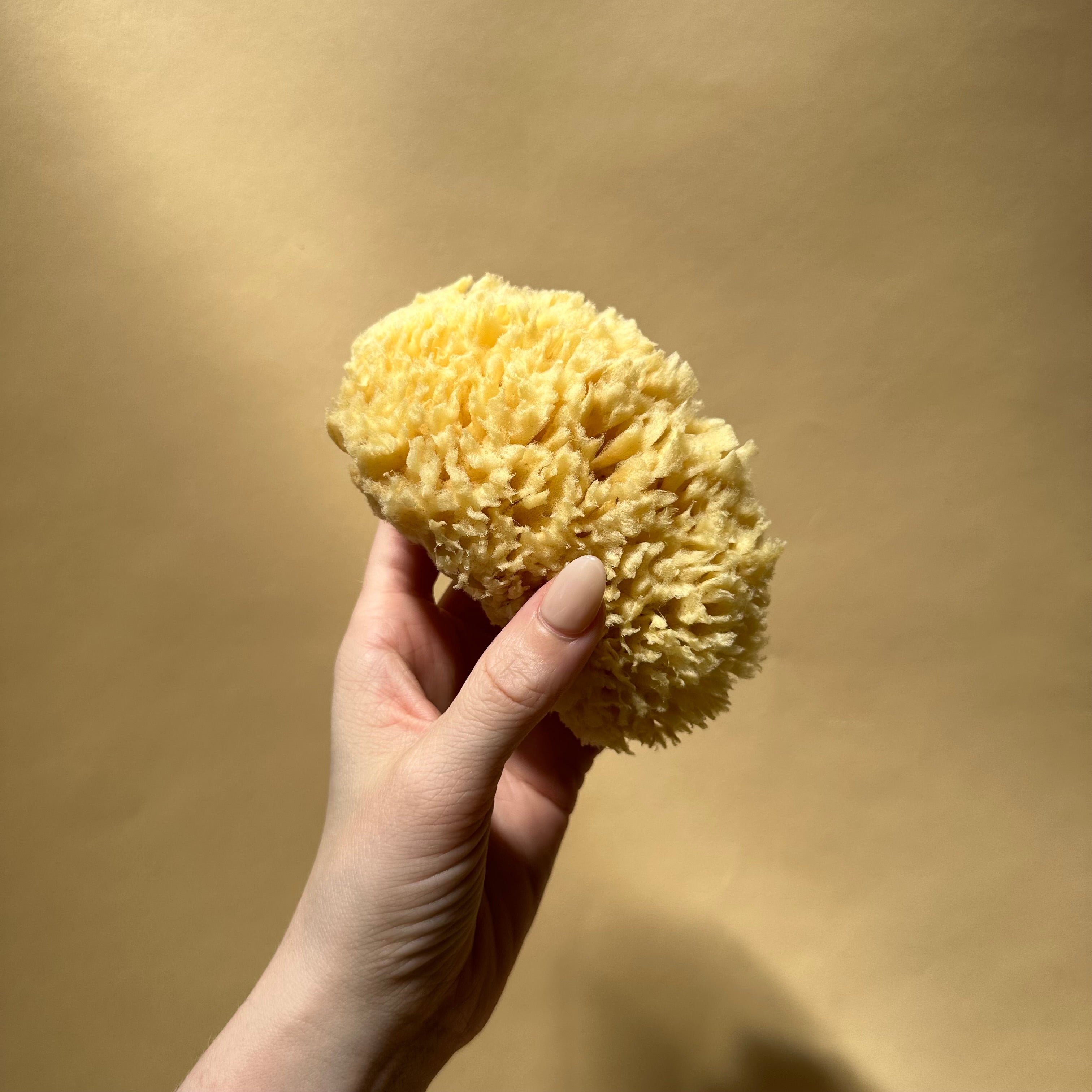 LATHER Natural Sea Wool Sponge, Self Care