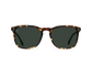 RAEN / wiley - brindle tortoise - polarized