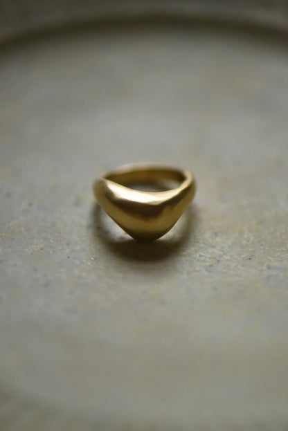 ring no.61