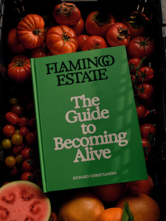 flamingo estate: the guide to becoming alive