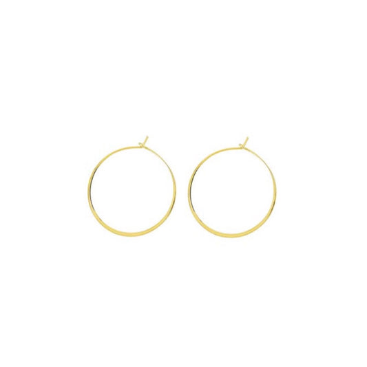 round wire hoop earrings