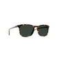 RAEN / wiley - brindle tortoise - polarized