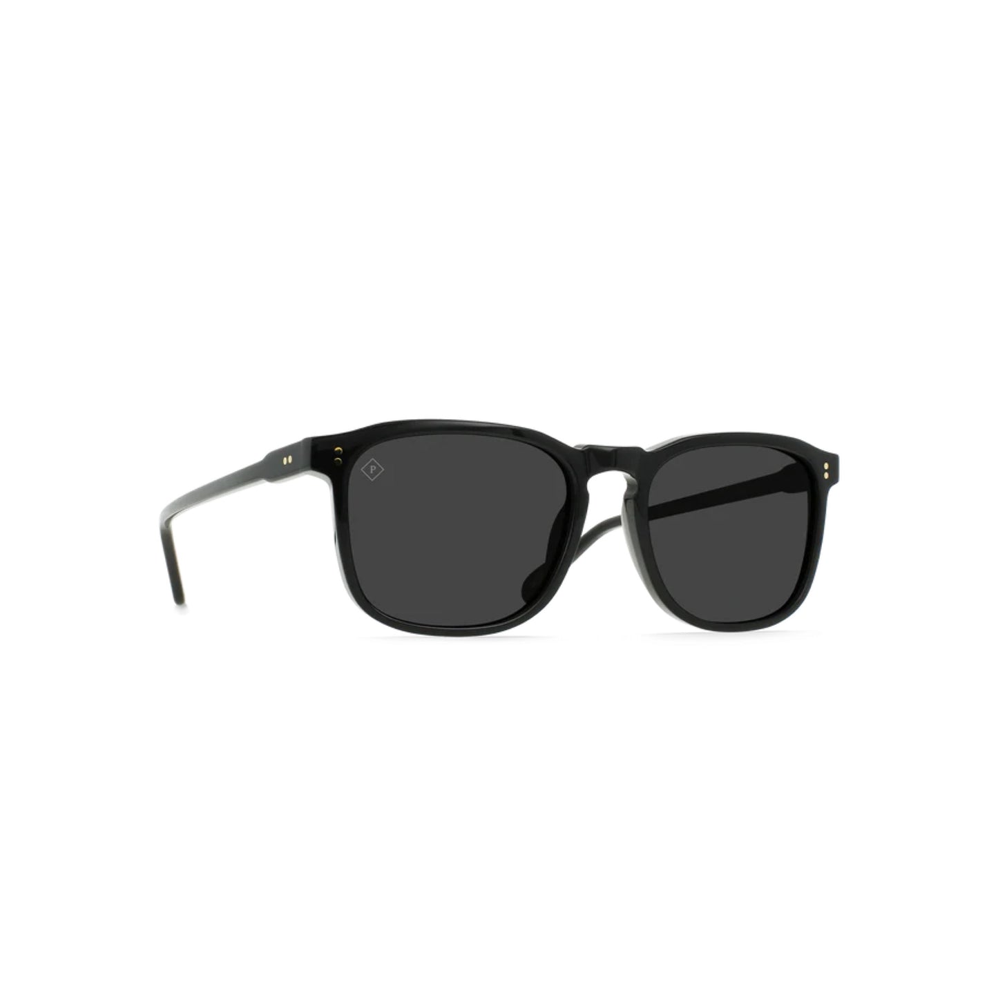 RAEN / wiley - recycled black - polarized