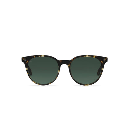 RAEN / norie - brindle tortoise - polarized