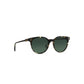 RAEN / norie - brindle tortoise - polarized