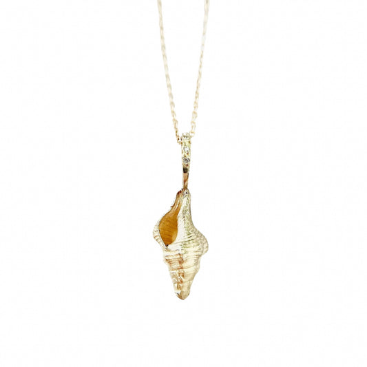 the shell 'so rare' artifact necklace