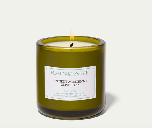 flamingo estate / ancient agrigento olive tree candle