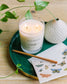 brooklyn candle studio / classic double wick candle - catskills