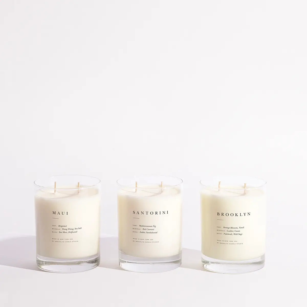 brooklyn candle studio / classic double wick candle - fern + moss