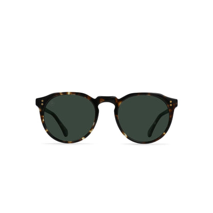 RAEN / remmy - brindle tortoise - polarized