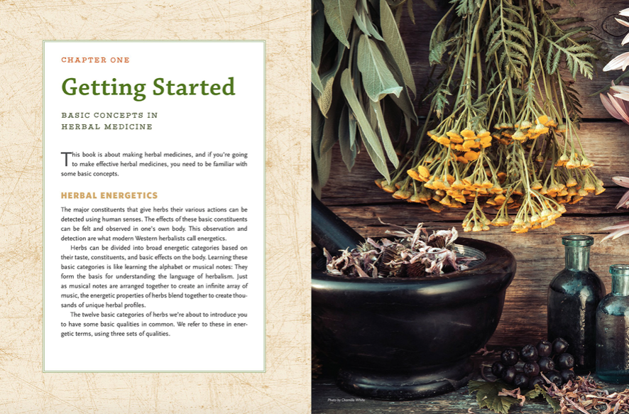 the modern herbal dispensatory: a medicine-making guide