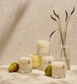 maison louis marie / candle - antidris jasmine